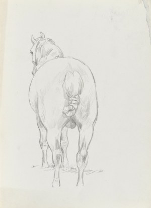 Ludwik MACIĄG (1920-2007), Koń ukazany z tyłu