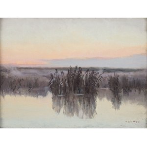 Teodor Ziomek (1874-1937), Poranne mgły