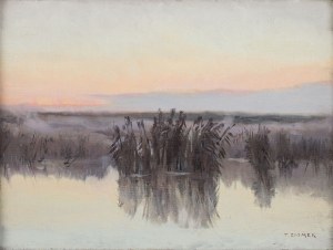 Teodor Ziomek (1874-1937), Poranne mgły