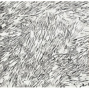 Jadwiga Maziarska (1913-2003), Zapis, 1980