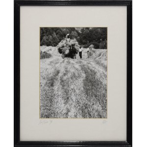 Barbara CHANDLER, Obrazy z Polski, 1991