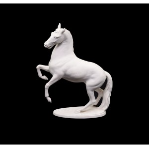 Running horse