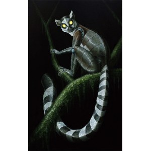 Emil Goś, Lemur katta, 2025