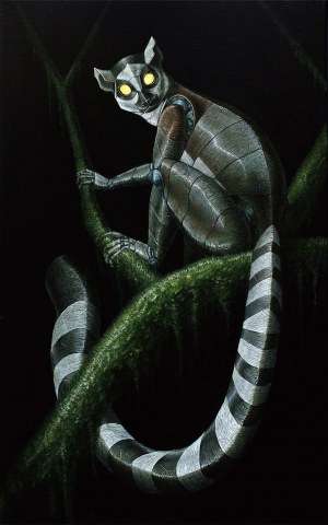 Emil Goś, Lemur katta, 2025