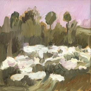 Barbara BOKOTA-TOMALA (ur. 1967), Rumianki, 2008