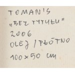 Sławomir Toman (ur. 1966, Kraków), Bez tytułu, 2006