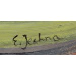 Emilia Jechna (née en 1994 à Varsovie),  Dreams , 2018-19