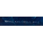 Tomasz Karabowicz (ur. 1971, Karczunek koło Lublina), Bez tytułu, 2008
