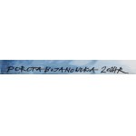 Dorota Bojanowska (ur. 1996), Technicolor, 2024