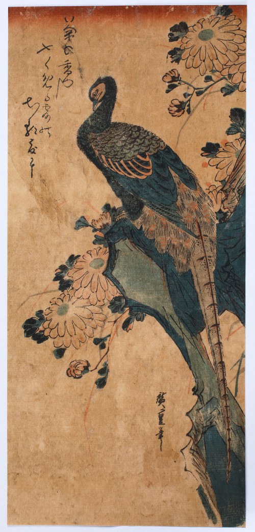 Hiroshige Andō (1797-1858), Bażant i chryzantema (Kiku no gake ni Kiji), 1832