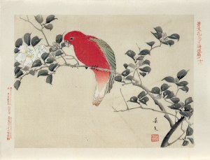 Matsumura Keibun (1779 - 1843, Kioto), Czerwona papuga, wyd. Aoki Kôsaburô, Japonia/Osaka, 1892