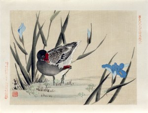 Matsumura Keibun (1779 - 1843, Kioto), Łyska wśród błękitnych irysów, wyd. Aoki Kôsaburô, Japonia/Osaka, 1892
