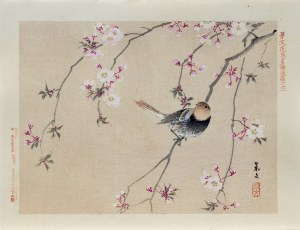 Matsumura Keibun (1779 - 1843, Kioto), Ptaszek i kwitnąca wiśnia, wyd. Aoki Kôsaburô, Japonia/Osaka, 1892
