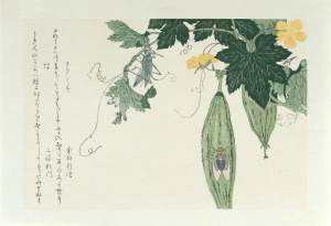 Kitagawa Utamaro (1753-1806), Konik polny i cykada, z serii: Album wybranych owadów, wyd. Ukiyo-e Hanga Kanko Kai, Japonia/Tokio, okres Showa (po 1960 r.)