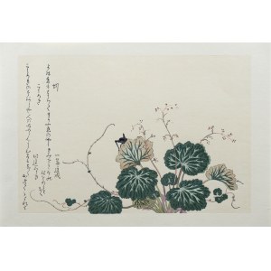 Kitagawa Utamaro (1753-1806), Pasikonik i dżdżownica, z serii: Album wybranych owadów, wyd. Ukiyo-e Hanga Kanko Kai, Japonia/Tokio, okres Showa (po 1960 r.)