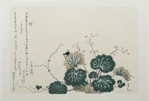 Kitagawa Utamaro (1753-1806), Pasikonik i dżdżownica, z serii: Album wybranych owadów, wyd. Ukiyo-e Hanga Kanko Kai, Japonia/Tokio, okres Showa (po 1960 r.)