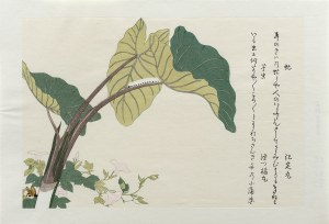 Kitagawa Utamaro (1753-1806), Giez i gąsienica, z serii: Album wybranych owadów, wyd. Ukiyo-e Hanga Kanko Kai, Japonia/Tokio, okres Showa (po 1960 r.)