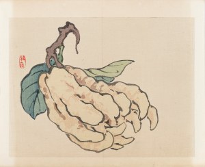 Kōno Bairei (1844-1895), wyd. Yamada Shinzaburo, Cytron palczasty - 