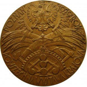 Polska, medal-pamiątka wystawy 1929, Warszawa 1929, syg. Mennica Warszawska, średnica 55 mm