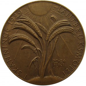 Szwecja, medal z wystawy rolniczej w Skänninge 1929, E. Lindberg, super stan! 