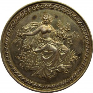 Niemcy, medal z Międzynarodowej Wystawy Ogrodniczej z Kolonii 1888 r.