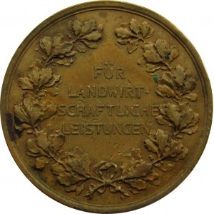 Śląsk, medal z wystawy rolniczej Prowincji Śląskiej, sygnowany C. Loos D.