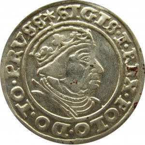 Zygmunt I Stary, 1 grosz 1540, Gdańsk, bardzo ładny