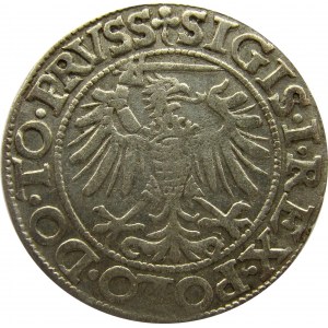 Zygmunt I Stary, 1 grosz 1539, Elbląg, ładny egzemplarz