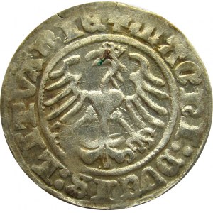 Zygmunt I Stary, 1/2 grosza 1511, Wilno