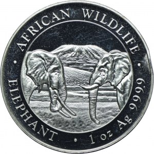 Somalia, 100 shillings 2020