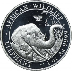 Somalia, 100 shillings 2018