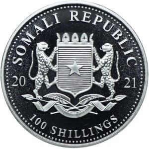 Somalia, 100 szylingów 2021 Zwierzęta Afryki - Słoń