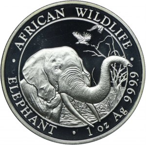 Somalia, 100 shillings 2018
