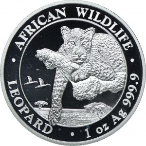 Somalia, 100 shillings 2020 Leopard