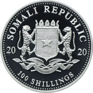 Somalia, 100 shillings 2020 Leopard