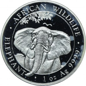 Somalia, 100 shillings 2021 Elephant
