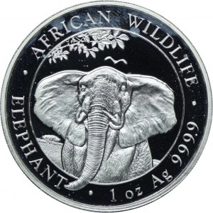Somalia, 100 shillings 2021 Elephant