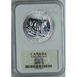 Kanada, 5 dolarów 2013 Dzika przyroda Kanady - Widłoróg Amerykański, GCN MS70