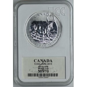 Kanada, 5 dolarów 2013 Dzika przyroda Kanady - Widłoróg Amerykański, GCN MS70