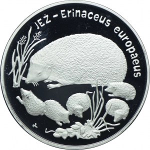 20 Gold 1996, Hedgehogs