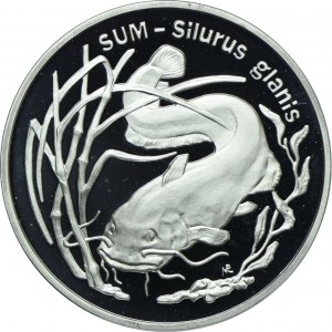 20 Gold 1995, Catfish