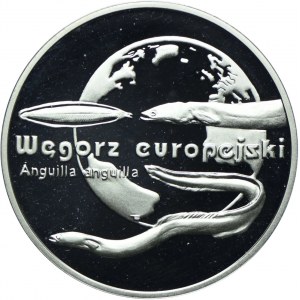 20 złotych 2003, Węgorz europejski