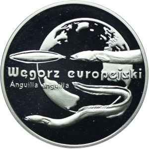 20 Gold 2003, European Eel