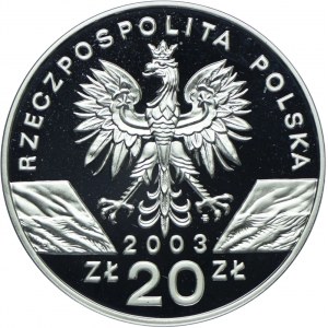 20 złotych 2003, Węgorz europejski