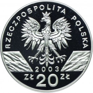 20 Gold 2003, European Eel