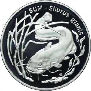 20 Gold 1995, Catfish