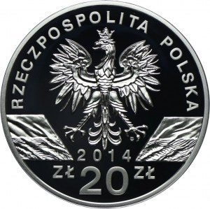 20 zl 2014, Konik Polski
