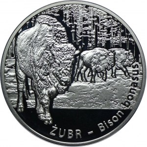 20 złotych 2013, Żubr