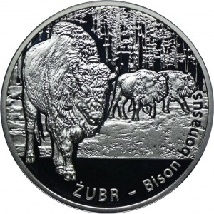 20 zl 2013, Zubr