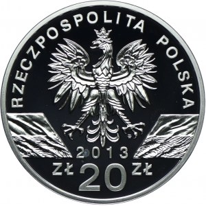 20 złotych 2013, Żubr